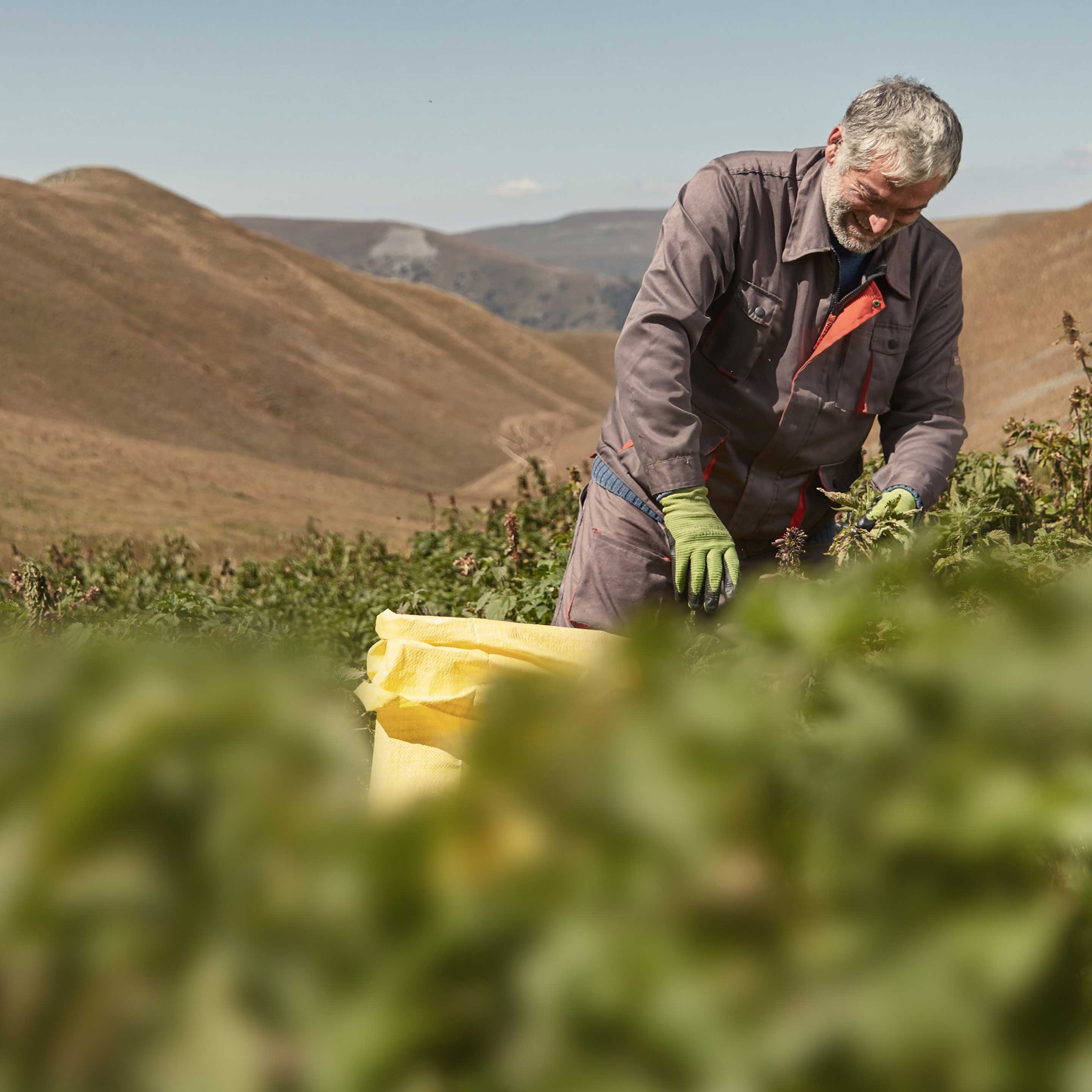 Sustainability Magazine MartinBauer